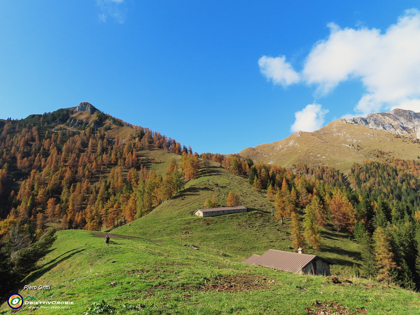 43 Il Pizzo Badile rivestito di larici colorati d'autunno baciati dal sole .JPG